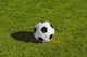 国际足球联合会FIFA官方标志 - 足球与全球合作象征